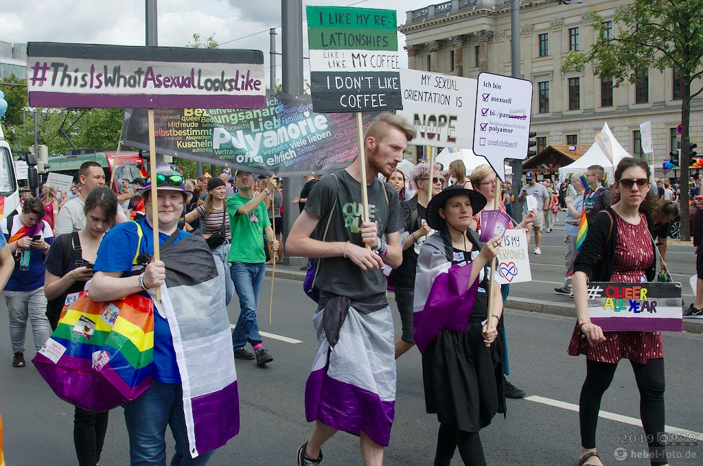 Menschen mit Ace-Flaggen und Schildern bei der CSD-Demo
